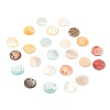 Natural Freshwater Shell Charms BSHE-B003-04-1