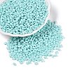 Baking Paint Glass Seed Beads SEED-T006-03G-3