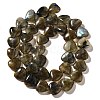 Natural Labradorite Beads Strands G-R190-10mm-52-3