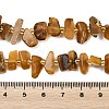 Natural Amber Beads Strands G-P619-A02-01-5