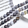 Natural Iolite Beads Strands G-N328-50D-01-4