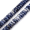 Natural Blue Spot Jasper Beads Strands G-T138-72-4