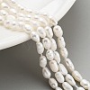 Natural Cultured Freshwater Pearl Beads Strands PEAR-P062-04B-2