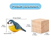 Wooden Eurasian Blue Tit and Block Ornaments JX690A-2