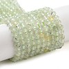 Natural Prehnite Beads Strands LS-G-G161-A13-03-1