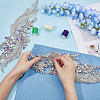 Glass Rhinestone Flower Appliques PATC-WH0005-50-6