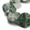 Natural Green Spot Jasper Beads Strands G-Z061-B08-02-4