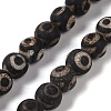 Tibetan Style dZi Beads G-K166-02-10mm-L3-01-1