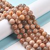 Round Natural Multi-Moonstone Beads Strands G-I176-09-10mm-1