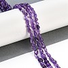 Natural Amethyst Beads Strands G-P497-01B-19-2