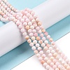 Natural Shell Beads SSHEL-G026-01A-3