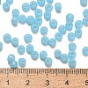 TOHO 6/0 Round Beads X-SEED-TR06-1143-3