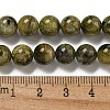 Natural Green Tourmaline Beads Strands G-B099-C05-04-5