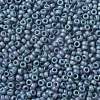 MIYUKI Round Rocailles Beads X-SEED-G009-RR2030-3