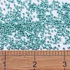 MIYUKI Delica Beads SEED-X0054-DB0427-4