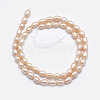 Natural Cultured Freshwater Pearl Beads Strands PEAR-F007-76-01-3