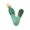 Alloy Enamel Pendants ENAM-S023-01G-V-2