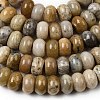 Natural Fossil Coral Beads Strands G-A280-A08-03-4