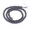 Natural Ebony Wood Beads Strands X-WOOD-P011-03-10mm-2