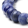 Natural South Africa Sodalite Beads Strands G-S259-35-12mm-01-3