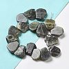 Natural Labradorite Beads Strands G-P528-K10-01-2