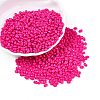 Baking Paint Glass Seed Beads SEED-T006-03R-3