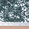 MIYUKI Round Rocailles Beads X-SEED-G007-RR0362-4