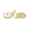 Brass Micro Pave Clear Cubic Zirconia Charms X-ZIRC-L091-079G-3