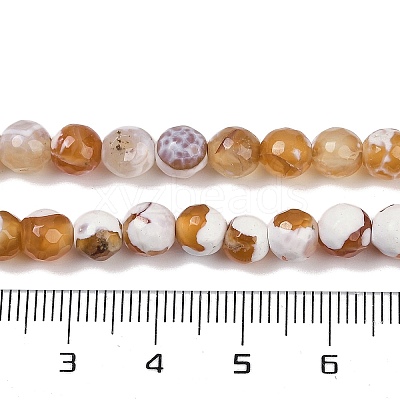 Natural Fire Crackle Agate Beads Strands G-C082-A01-33-1
