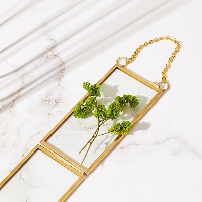 Brass Glass Hanging Photo Frame HJEW-SZ0001-01G-1