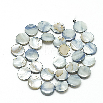 Natural Shell Beads Strands X-PBB251Y-3-1