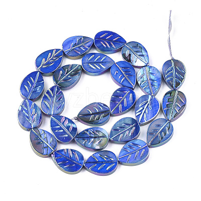 Freshwater Shell Beads Strands X-SHEL-S274-61A-1