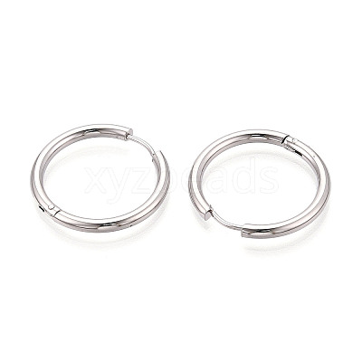 304 Stainless Steel Hoop Earrings EJEW-T048-24E-P-1