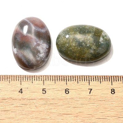 Natural Indian Agate Gemstone Cabochons X-G-T020-18x25mm-27-1