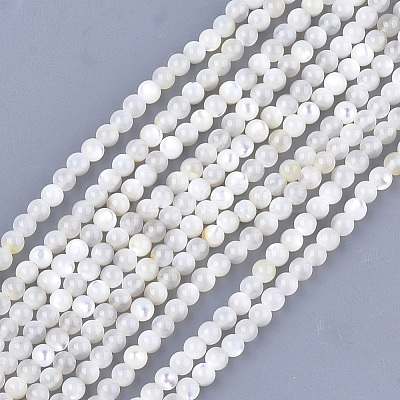Natural White Shell Beads X-SHEL-T012-49B-1