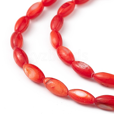 Natural Freshwater Shell Dyed Beads Strands SHEL-M018-13-05-1