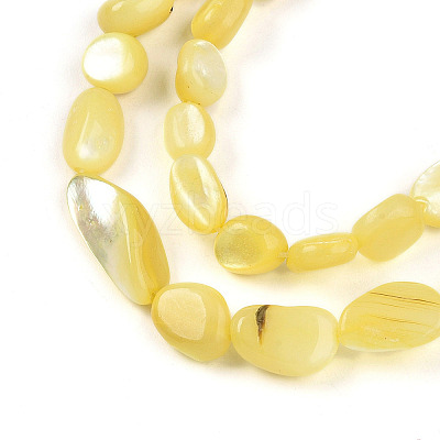 Natural White Shell Beads Strands SHEL-N036-21H-1