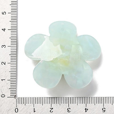 Acrylic Pendants OACR-Q055-03C-1