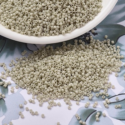 MIYUKI Delica Beads X-SEED-J020-DB2362-1
