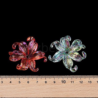 Transparent Acrylic Beads LS-X-MACR-K358-06A-1