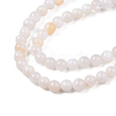 Natural Freshwater Shell Beads Strands BSHE-T009A-01B-1