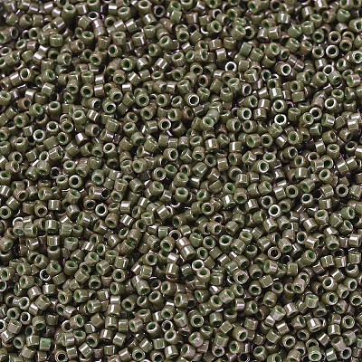 MIYUKI Delica Beads SEED-MY11-DB0657-1