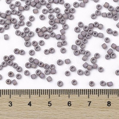 TOHO 8/0 Round Beads SEED-XTR08-0412F-1