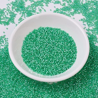 MIYUKI Delica Beads SEED-X0054-DB0691-1