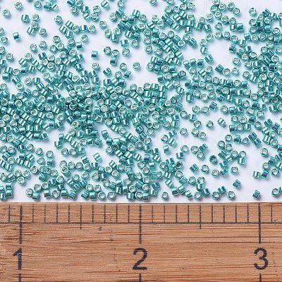 MIYUKI Delica Beads SEED-X0054-DB0427-1