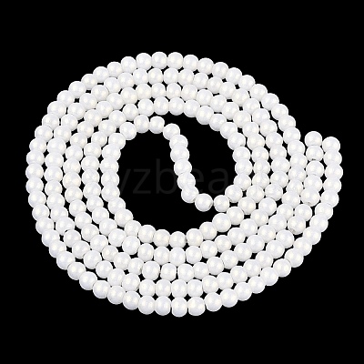 Baking Paint Glass Pearl Beads Strands DGLA-ZX001-05A-01-1