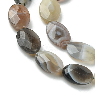 Natural Botswana Beads Strands G-H004-B02-04-1