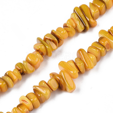 Natural Trochid Shell/Trochus Shell Beads Strands SHEL-S258-080-B02-1