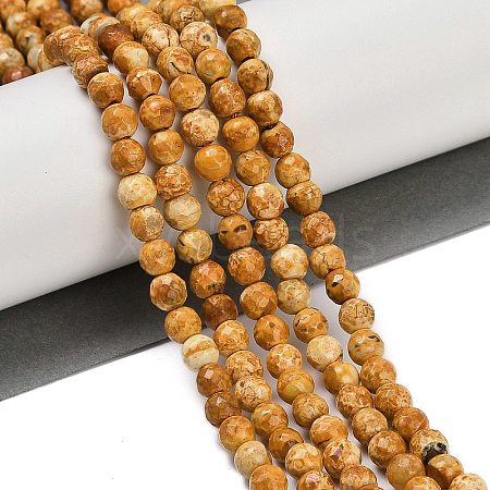 Natural Fire Crackle Agate Beads Strands G-C082-A01-44-1