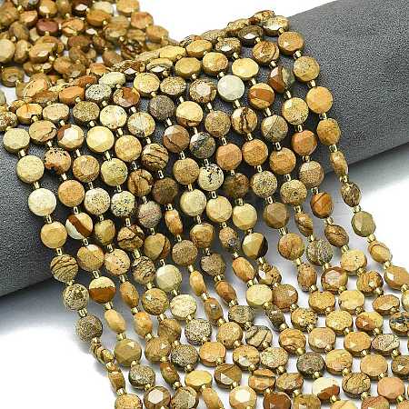 Natural Picture Jasper Beads Strands G-C116-A67-02-1